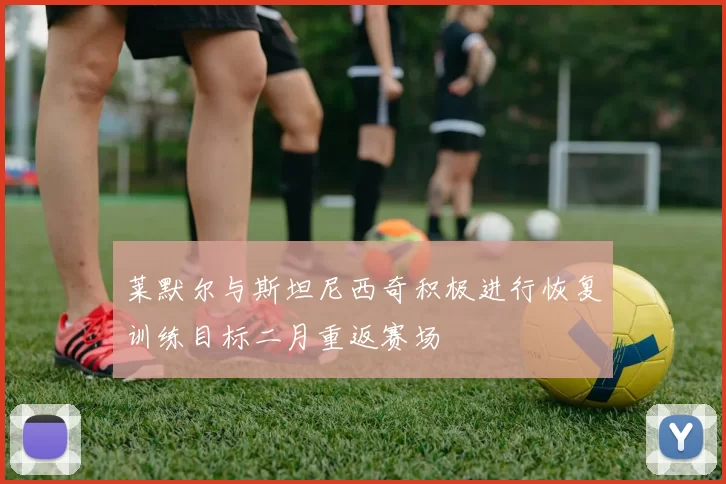 莱默尔与斯坦尼西奇积极进行恢复训练目标二月重返赛场