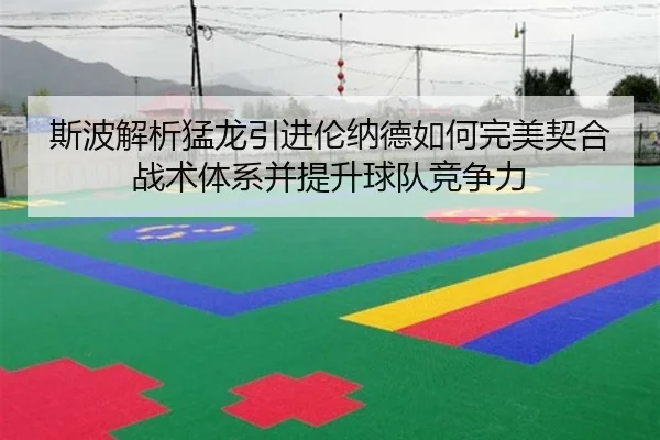 斯波解析猛龙引进伦纳德如何完美契合战术体系并提升球队竞争力